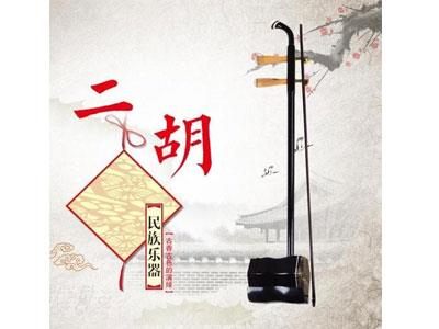 招聘韶关二胡家教老师